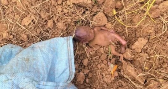 ममता हुई शर्मसार : बोलेरो से आए दरिंदों ने नवजात को जिंदा दफनाया, गांव में दहशत